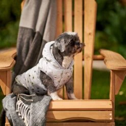 Frisco Mediumweight Silver Polka Dotted Insulated Dog & Cat Coat -Cat Toy Shop 224017 PT7. AC SS1800 V1601579462