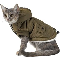Frisco Mid-Heavyweight Love Insulated Dog & Cat Coat -Cat Toy Shop 224034 PT2. AC SS1800 V1599498998