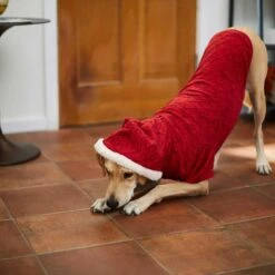 Frisco Textured Knit Dog & Cat Hoodie -Cat Toy Shop 224233 PT6. AC SS1800 V1637729542