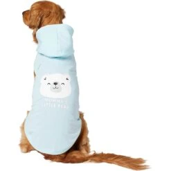 Frisco Mommy's Little Bear Dog & Cat Hoodie -Cat Toy Shop 224272 PT2. AC SS1800 V1637691116