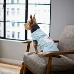 Frisco Mommy's Little Bear Dog & Cat Hoodie -Cat Toy Shop 224272 PT6. AC SS1800 V1637715724