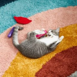 Frisco Retro Lip Gloss Plush Cat Toy With Catnip, 3 Count -Cat Toy Shop 230274 PT3. AC SS1800 V1602639773