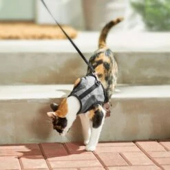 Frisco Wrap Cat Harness -Cat Toy Shop 230691 PT5. AC SS1800 V1601096758
