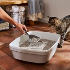 Frisco Lightweight Scented Clumping Cat Litter -Cat Toy Shop 230718 PT4. AC SS1800 V1659023572