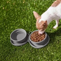 Frisco Travel Collapsible Silicone Dog & Cat Bowl -Cat Toy Shop 232062 PT8. AC SS1800 V1605754928