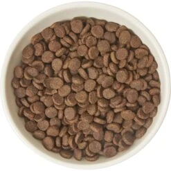 Frisco Double-Sided Ceramic Elevated Cat Bowl -Cat Toy Shop 232081 PT3. AC SS1800 V1605145964