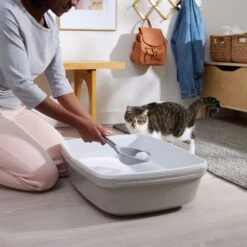 Frisco Micro Crystal Unscented Clumping Crystal Cat Litter -Cat Toy Shop 232119 PT4. AC SS1800 V1660944685