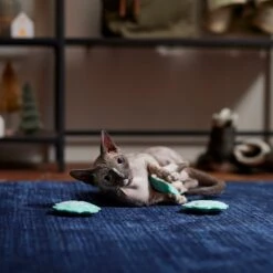 Frisco Snowflake Plush Cat Toy With Catnip, 3 Count -Cat Toy Shop 233285 PT3. AC SS1800 V1661874178