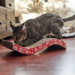 Frisco Holiday Wave Cat Scratcher Toy With Catnip -Cat Toy Shop 233287 PT2. AC SS1800 V1602172537