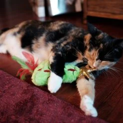 Frisco Holiday Christmas Tree Plush Kicker Cat Toy With Catnip 6 Frisco Holiday Christmas Tree Plush Kicker Cat Toy With Catnip -Cat Toy Shop 233305 PT2. AC SS1800 V1602172376