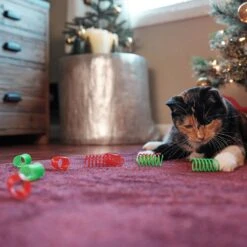 Frisco Holiday Springs Cat Toy, 10 Count -Cat Toy Shop 233307 PT2. AC SS1800 V1602172363