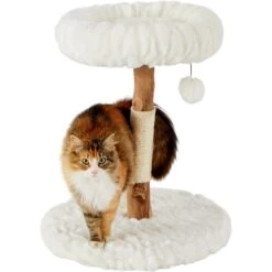 Frisco Natural Wood Modern Cat Tree With Toy, Ivory, Small -Cat Toy Shop 236559 PT2. AC SS1800 V1615987338