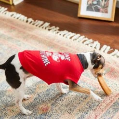 Frisco Love Machine Dog & Cat T-shirt -Cat Toy Shop 238160 PT6. AC SS1800 V1608595661