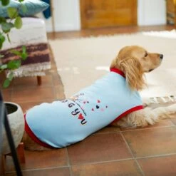 Frisco I Dig You Dog & Cat T-shirt -Cat Toy Shop 238167 PT6. AC SS1800 V1608594463