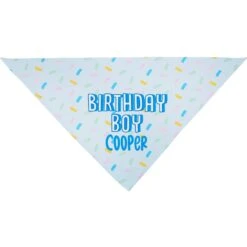 Frisco Birthday Boy Personalized Dog & Cat Bandana -Cat Toy Shop 238329 PT3. AC SS1800 V1618511828