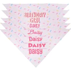 Frisco Birthday Girl Personalized Dog & Cat Bandana 12 Frisco Birthday Girl Personalized Dog & Cat Bandana -Cat Toy Shop 238333 PT4. AC SS1800 V1618507367