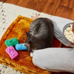 Frisco Zoomies & Chill Gummy Bear Plush Cat Toy With Catnip -Cat Toy Shop 241715 PT6. AC SS1800 V1610768413