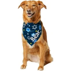 Frisco Hanukkah Personalized Dog & Cat Bandana -Cat Toy Shop 242799 PT6. AC SS1800 V1618511253