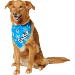 Frisco Blue Snowflakes Personalized Dog & Cat Bandana -Cat Toy Shop 242803 PT6. AC SS1800 V1618511278