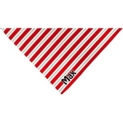 Frisco Peppermint Personalized Dog & Cat Bandana -Cat Toy Shop 242807 PT3. AC SS1800 V1618507377