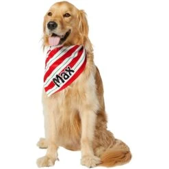 Frisco Peppermint Personalized Dog & Cat Bandana -Cat Toy Shop 242807 PT6. AC SS1800 V1618509454
