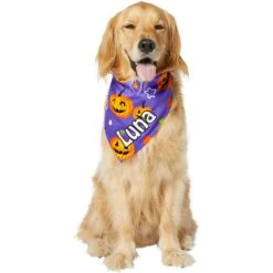 Frisco Halloween Pumpkins Personalized Dog & Cat Bandana -Cat Toy Shop 242815 PT6. AC SS1800 V1618509475