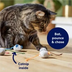 Frisco Mice Plush Cat Toy With Catnip -Cat Toy Shop 245899 PT2. AC SS1800 V1678723852