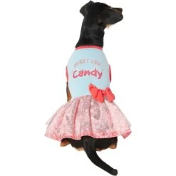 Frisco Sweet Like Candy Dog & Cat Dress -Cat Toy Shop 248666 PT2. AC SS1800 V1632421633