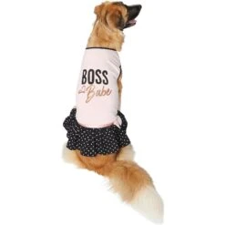 Frisco Boss Babe Dog & Cat Dress -Cat Toy Shop 248674 PT2. AC SS1800 V1633060572