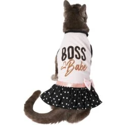 Frisco Boss Babe Dog & Cat Dress -Cat Toy Shop 248674 PT3. AC SS1800 V1633074669