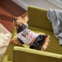 Frisco Boss Babe Dog & Cat Dress -Cat Toy Shop 248674 PT7. AC SS1800 V1613666625