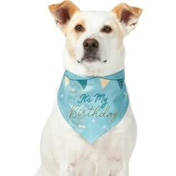 Frisco It's My Birthday Dog & Cat Bandana, Blue -Cat Toy Shop 248697 PT2. AC SS1800 V1633081896