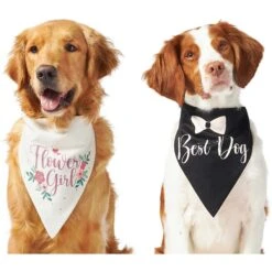 Frisco Wedding Reversible Dog & Cat Bandana -Cat Toy Shop 248712 PT2. AC SS1800 V1632429387