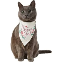 Frisco Wedding Reversible Dog & Cat Bandana -Cat Toy Shop 248712 PT3. AC SS1800 V1632431176