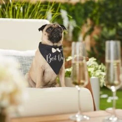 Frisco Wedding Reversible Dog & Cat Bandana -Cat Toy Shop 248712 PT5. AC SS1800 V1632432987