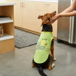 Frisco Mama's Main Squeeze Dog & Cat T-Shirt -Cat Toy Shop 248853 PT7. AC SS1800 V1613683647