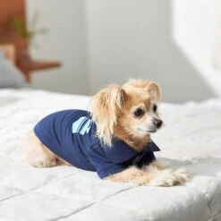 Frisco Dog & Cat Polo Shirt With Accent Pocket -Cat Toy Shop 248880 PT7. AC SS1800 V1644960683