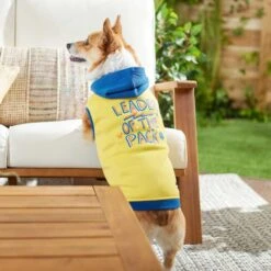 Frisco Leader Of The Pack Dog & Cat Hoodie -Cat Toy Shop 248905 PT5. AC SS1800 V1637682701
