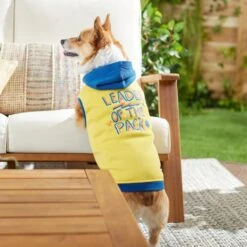 Frisco Leader Of The Pack Dog & Cat Hoodie -Cat Toy Shop 248905 PT7. AC SS1800 V1613752118