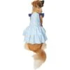 Frisco Blue Daisies Dog & Cat Dress
