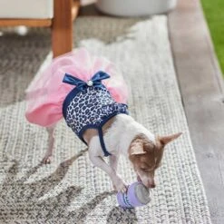 Frisco Leopard Print Dog & Cat Dress -Cat Toy Shop 249051 PT5. AC SS1800 V1644960386