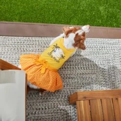 Frisco Fun In The Sun Dog & Cat Dress -Cat Toy Shop 249058 PT4. AC SS1800 V1637668124