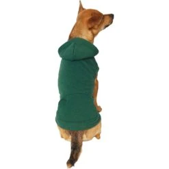 Frisco Dog & Cat Basic Hoodie -Cat Toy Shop 249154 PT2. AC SS1800 V1633073480