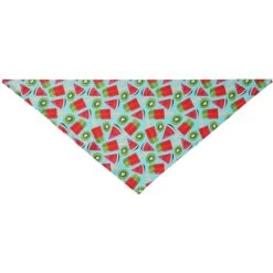 Frisco Fruity Summer Dog & Cat Bandana -Cat Toy Shop 249204 PT3. AC SS1800 V1637727991
