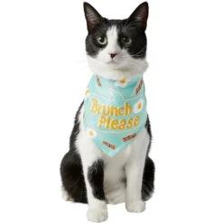 Frisco Brunch Please Dog & Cat Bandana -Cat Toy Shop 249207 PT2. AC SS1800 V1696597732
