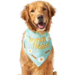 Frisco Brunch Please Dog & Cat Bandana -Cat Toy Shop 249207 PT3. AC SS1800 V1696597730