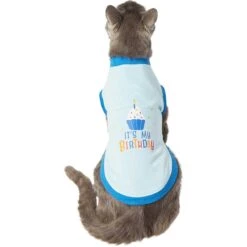 Frisco It's My Birthday & Cat T-Shirt -Cat Toy Shop 249249 PT2. AC SS1800 V1624604252