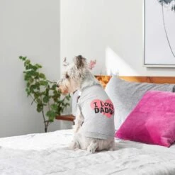 Frisco I Love Daddy Dog & Cat T-Shirt, Gray -Cat Toy Shop 249263 PT5. AC SS1800 V1624592867