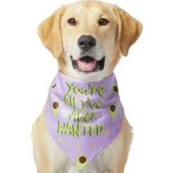 Frisco You're All I've Avo Wanted Dog & Cat Bandana -Cat Toy Shop 249292 PT2. AC SS1800 V1637723806