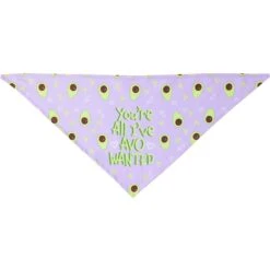 Frisco You're All I've Avo Wanted Dog & Cat Bandana -Cat Toy Shop 249292 PT3. AC SS1800 V1637705814